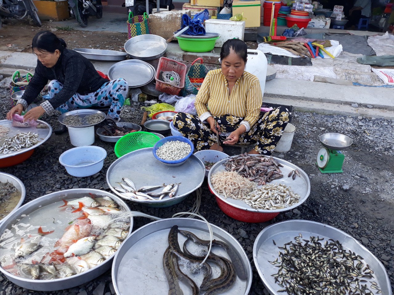 Bảo vệ nguồn lợi thủy sản trước nguy cơ cạn kiệt